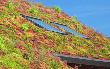 Uppington living roof systems